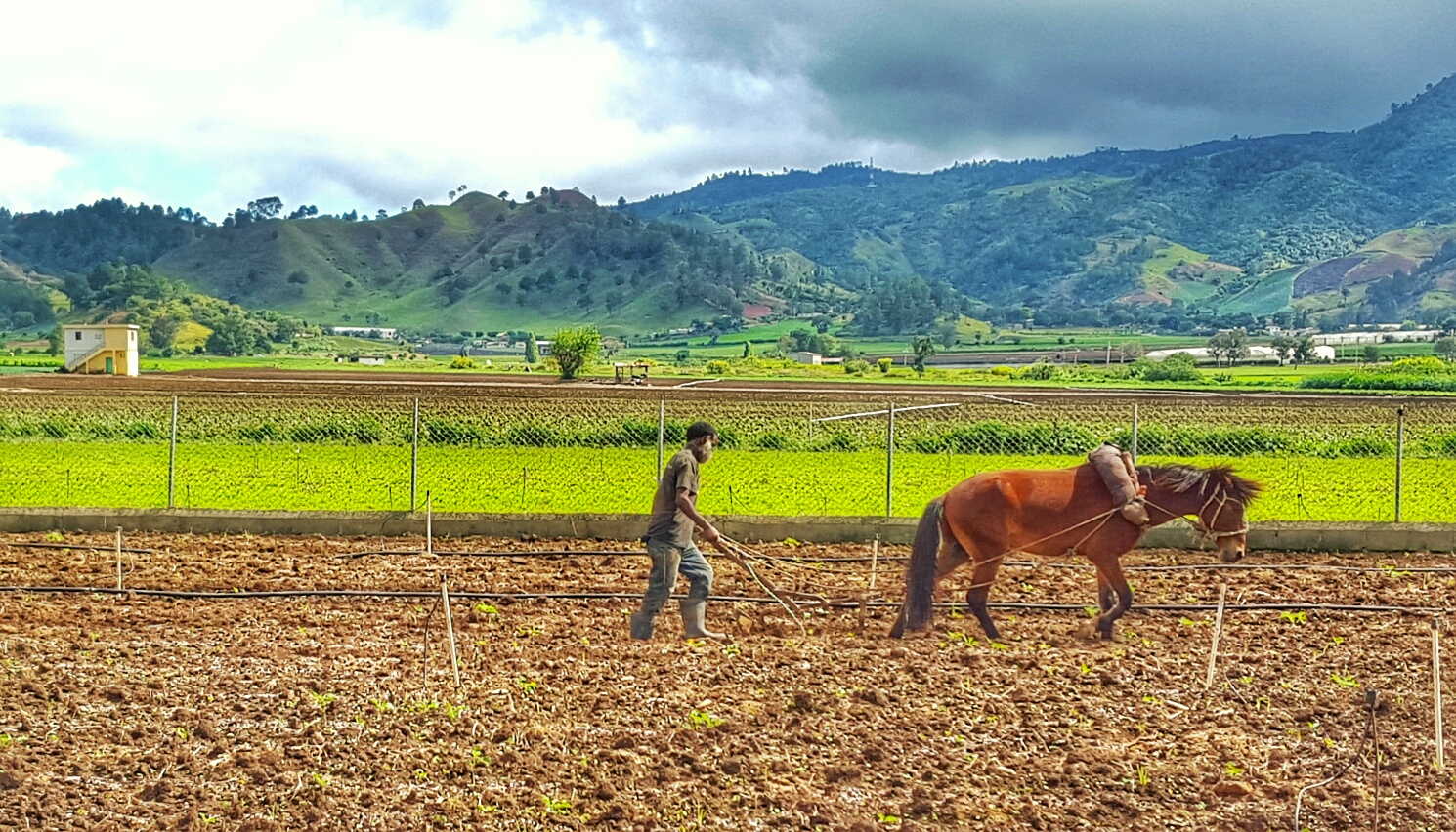 Arado de tierra Constanza