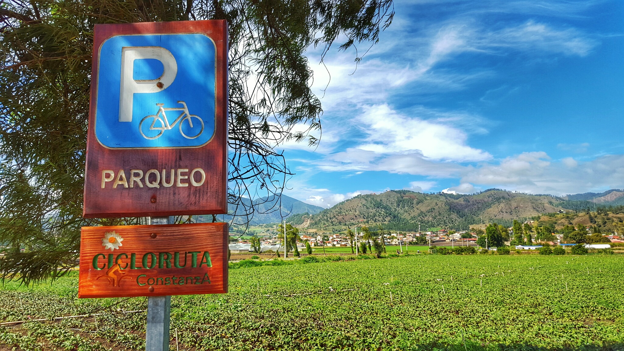 Panorámica cicloruta Constanza